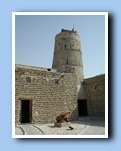 [Click to enlarge image]