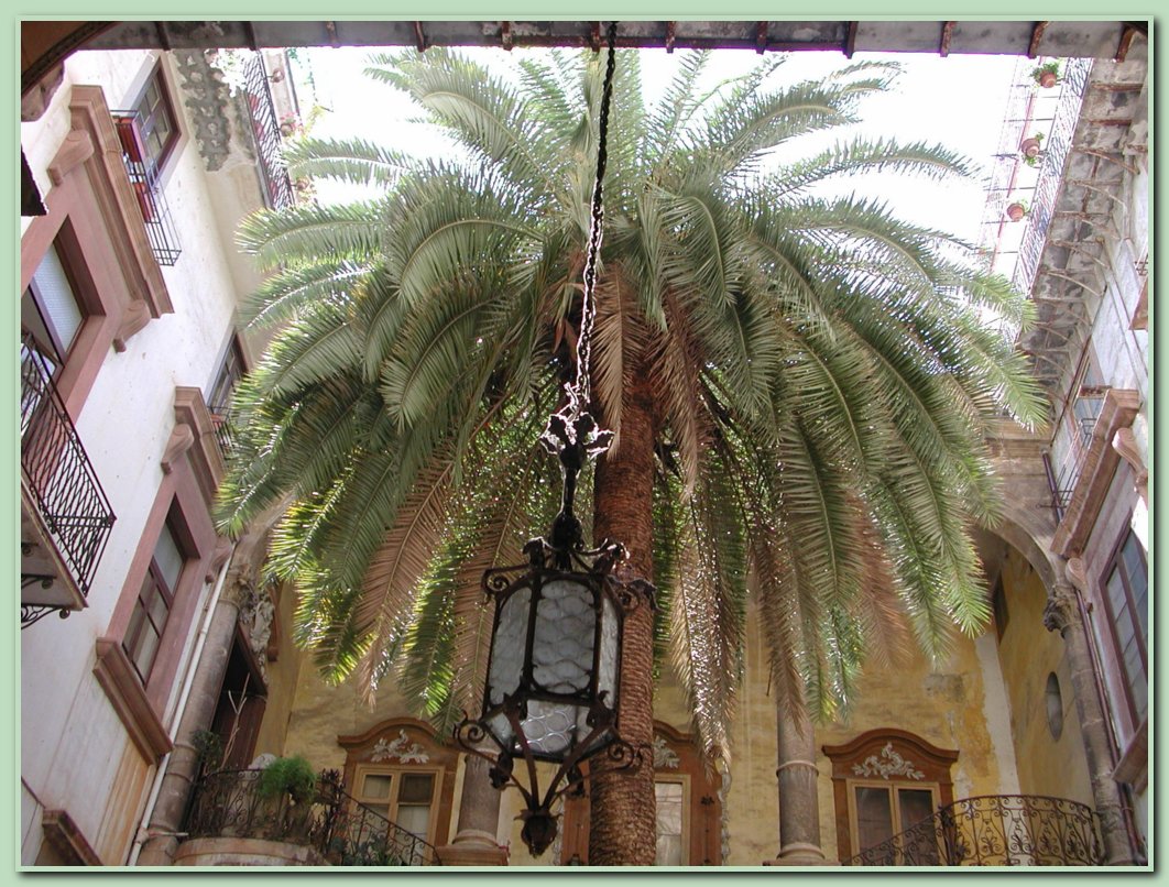 Palermo