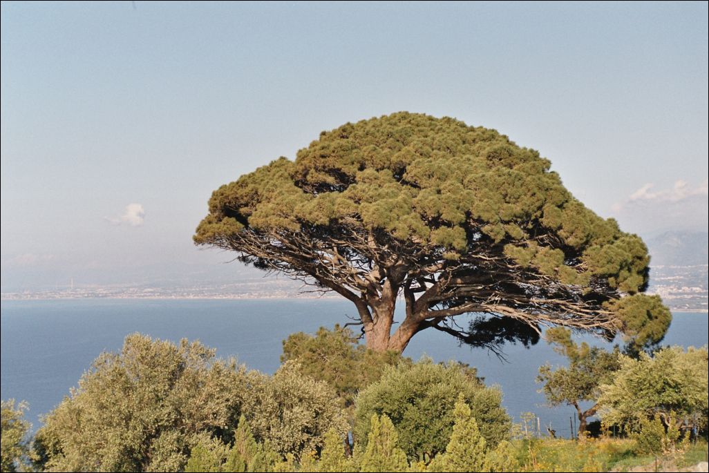 Tindari