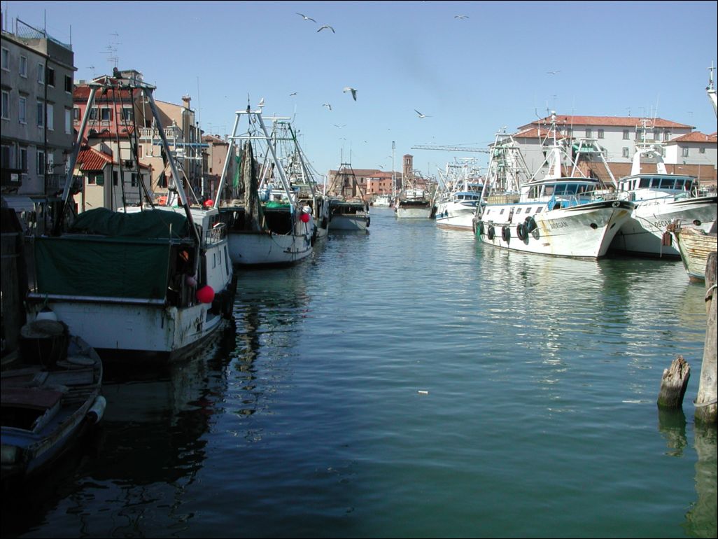 Chioggia