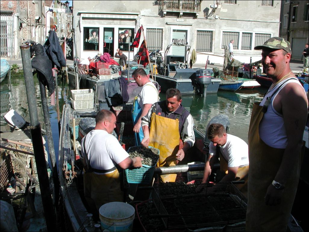 Chioggia
