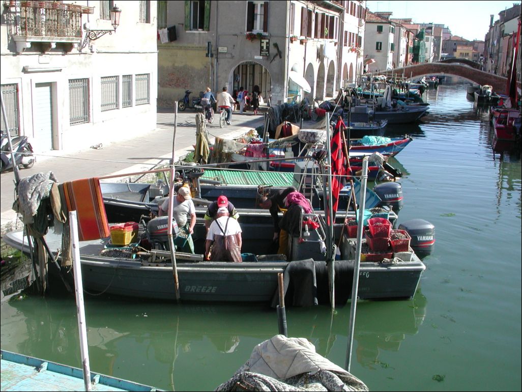 Chioggia