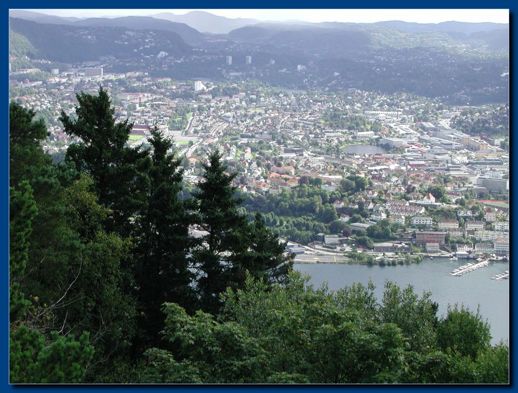 Blick vom Floyen auf Bergen