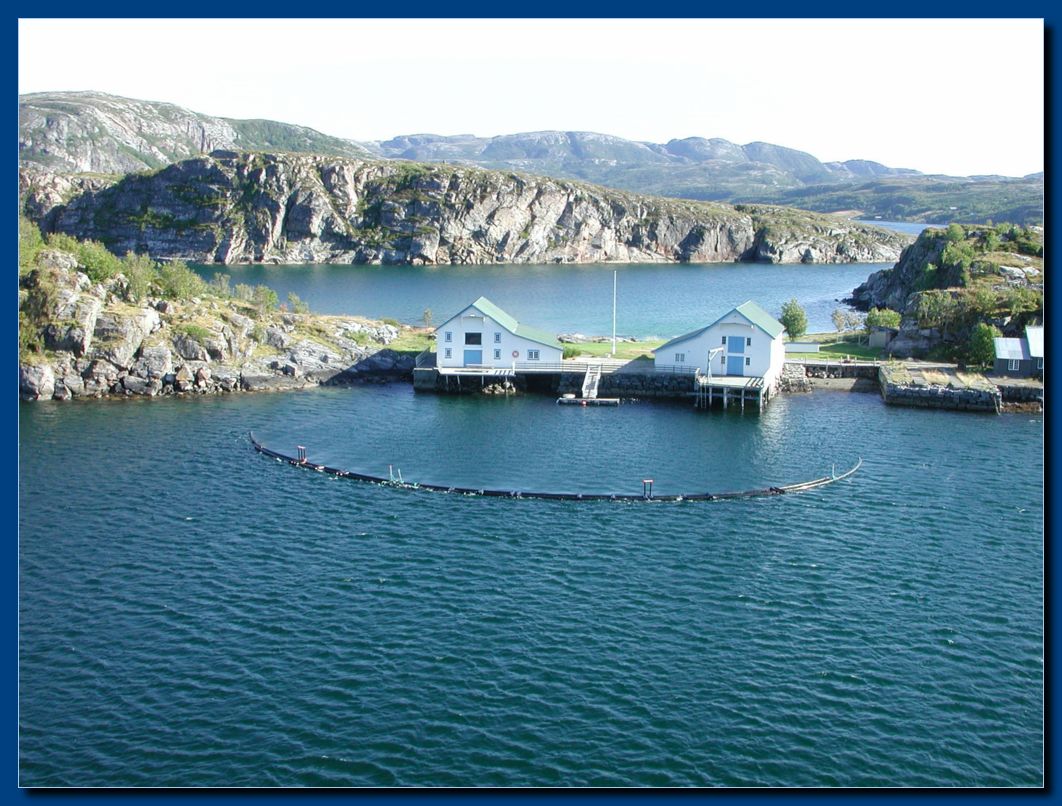 Saltfjorden