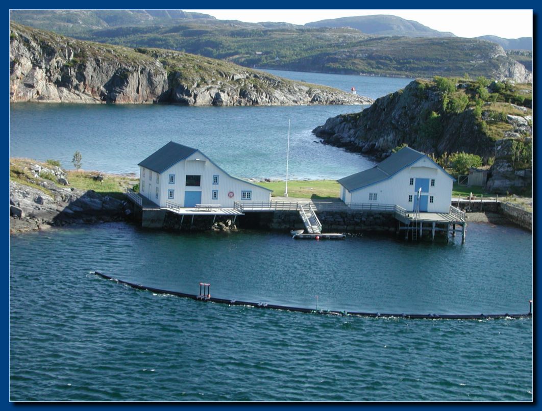 Saltfjorden