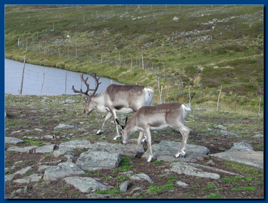 Nordkap Samendorf
