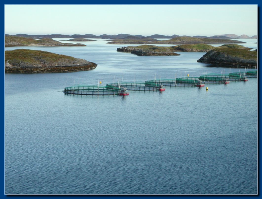 Bronnoysund