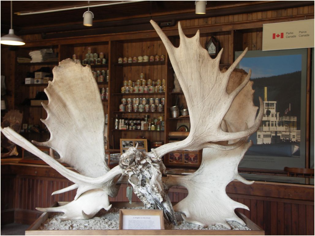 dawson visitor center