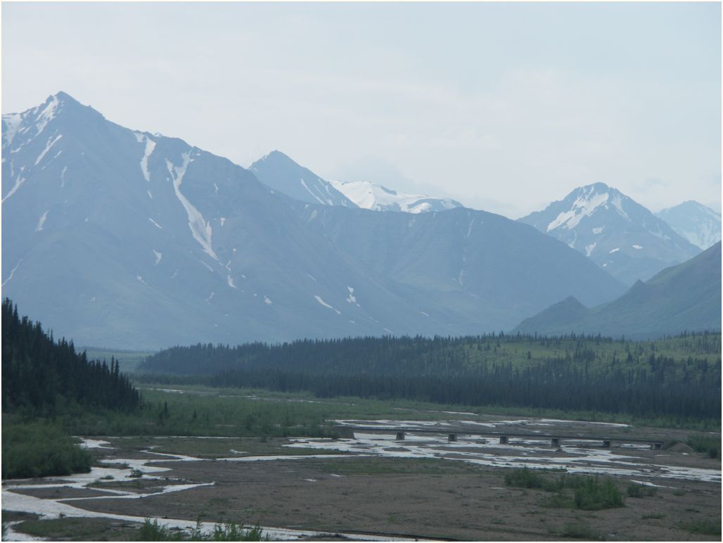 denali nat. park