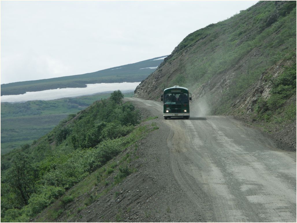 denali nat. park
