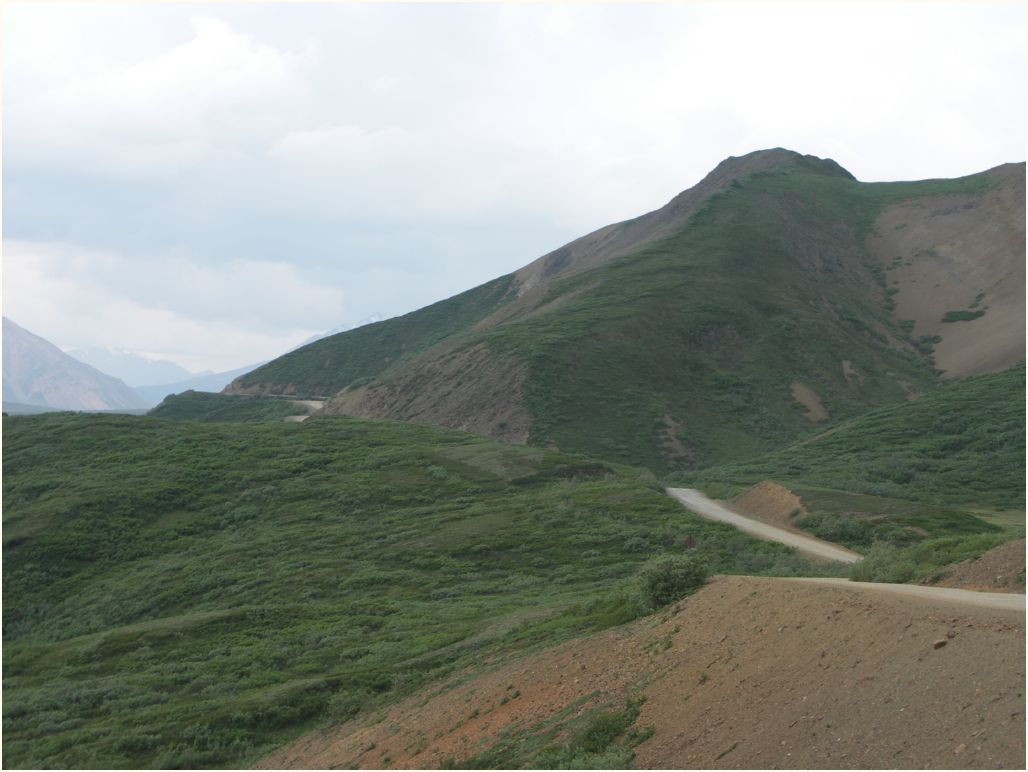 denali nat. park