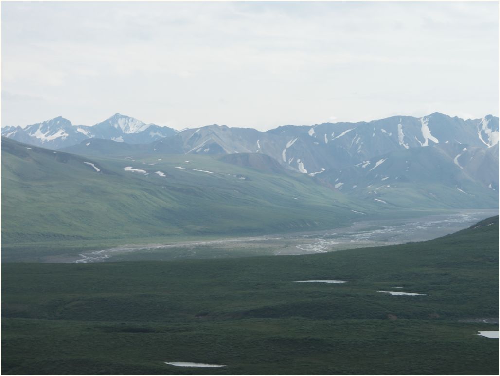 denali nat. park