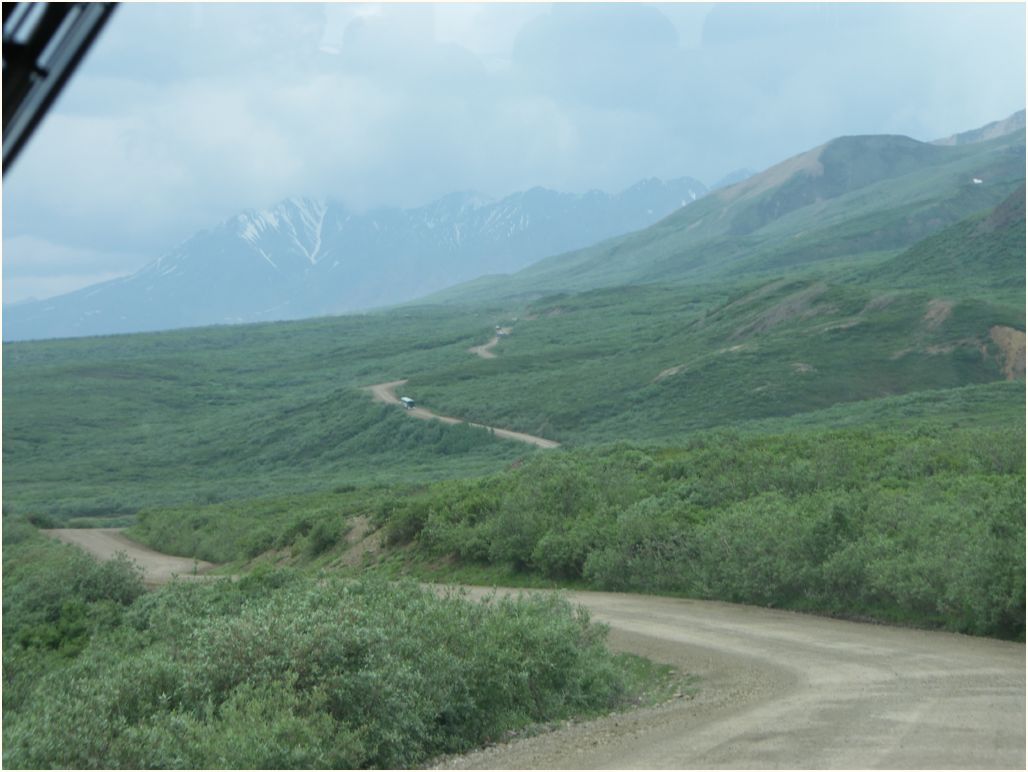 denali nat. park