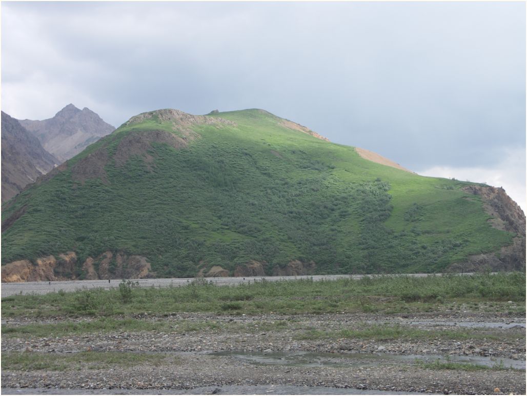 denali nat. park