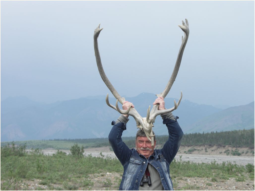 denali nat. park