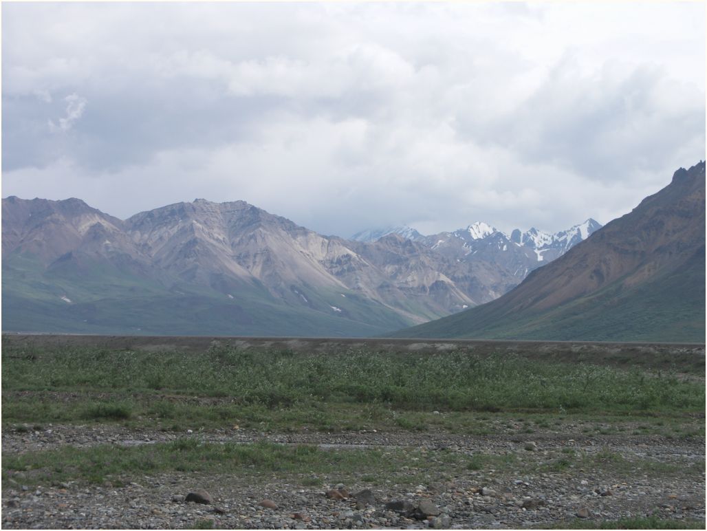denali nat. park