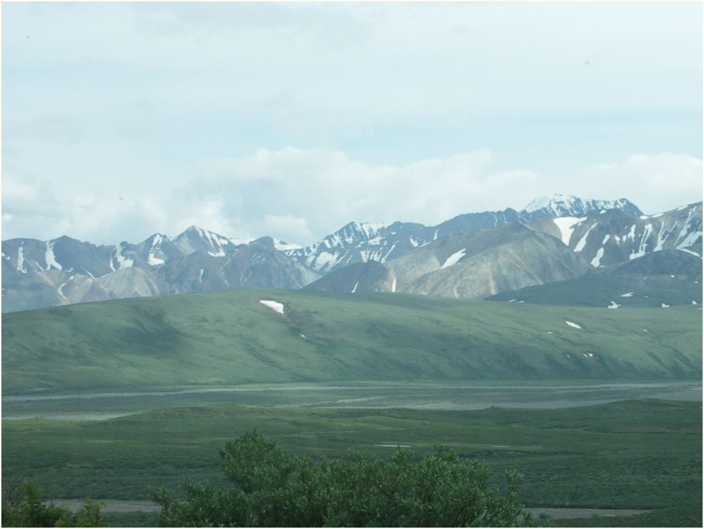 denali nat. park
