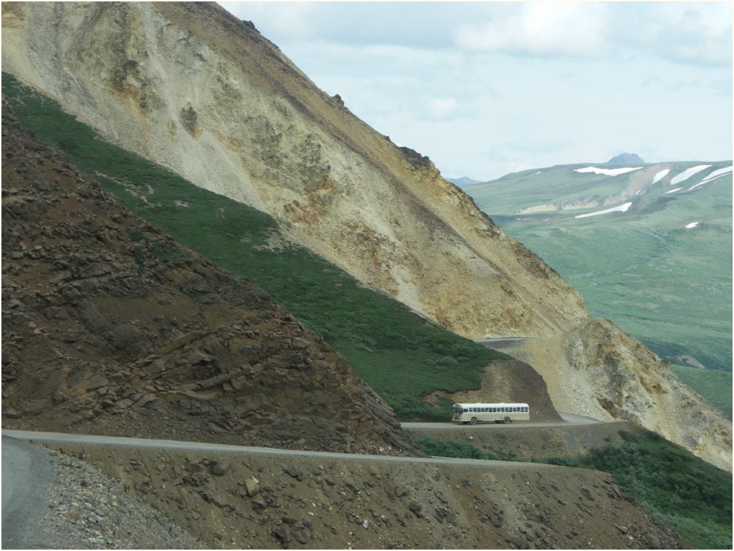 denali nat. park