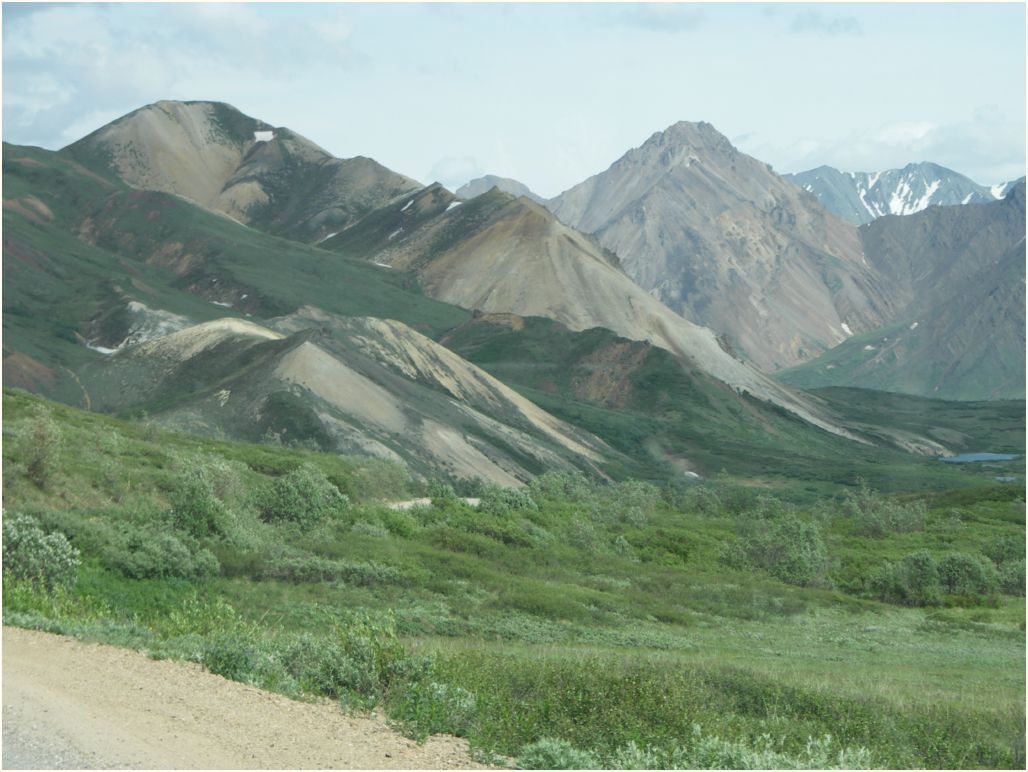 denali nat. park