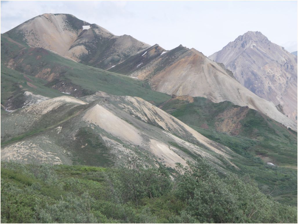 denali nat. park