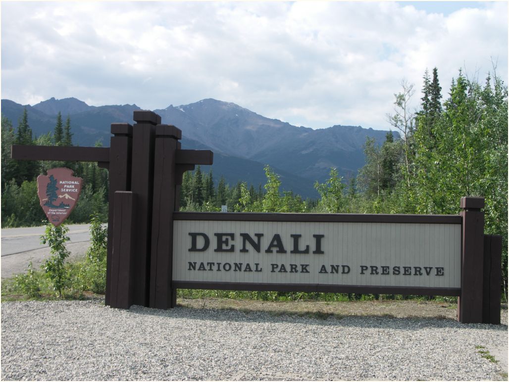 denali-carlo creek camping