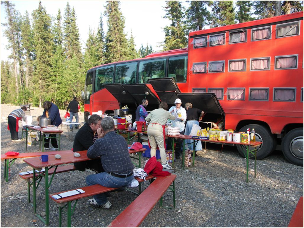 denali-carlo creek camping