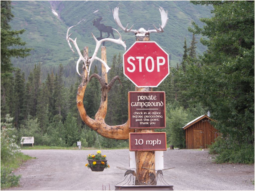 denali-carlo creek camping