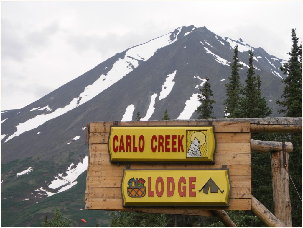 denali-carlo creek camping