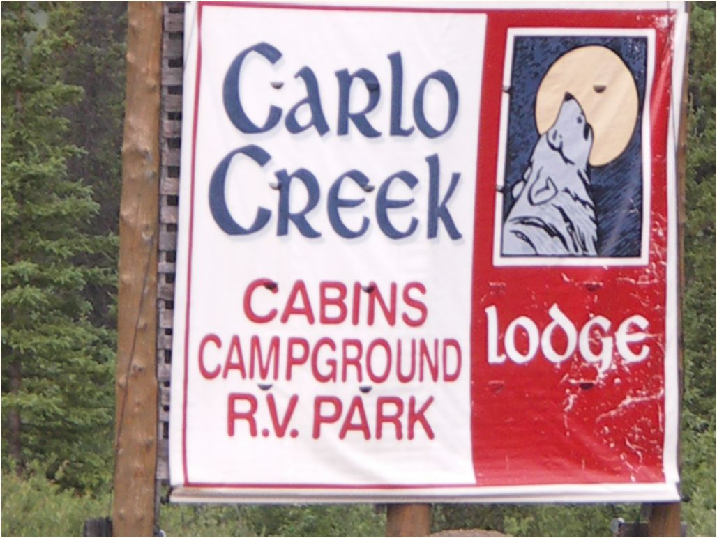 denali-carlo creek camping