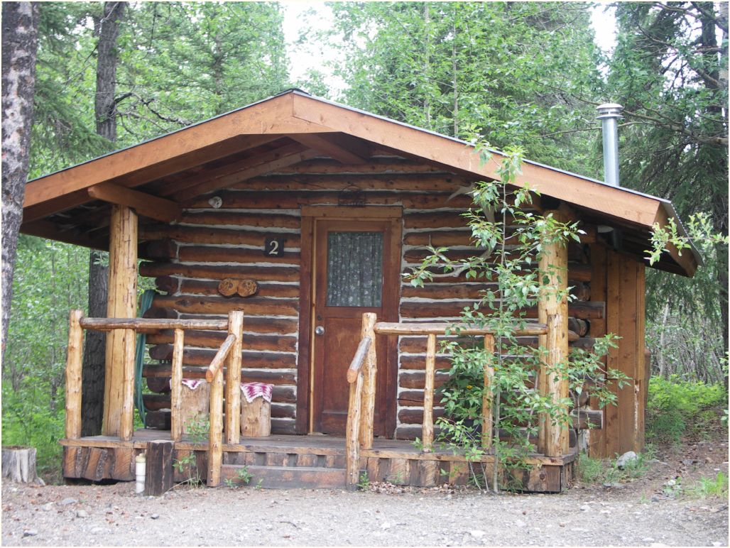 denali-carlo creek camping