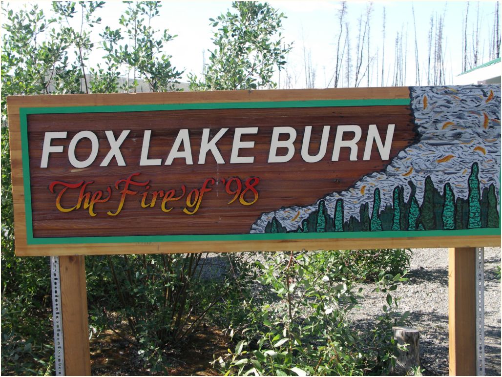fox lake