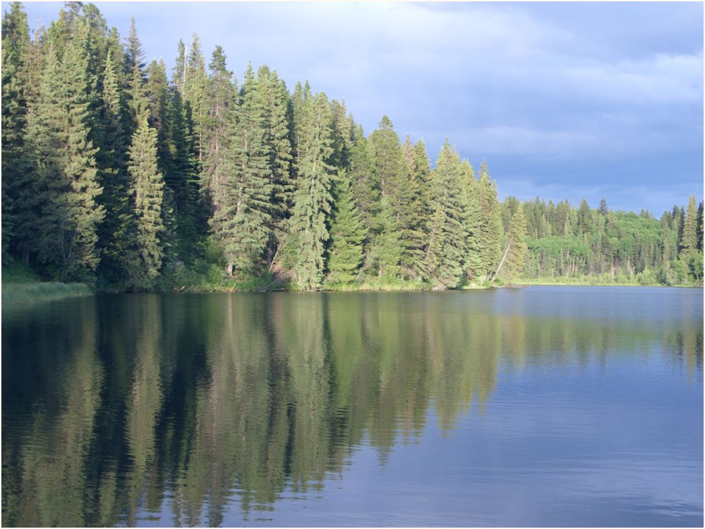 fraser lake