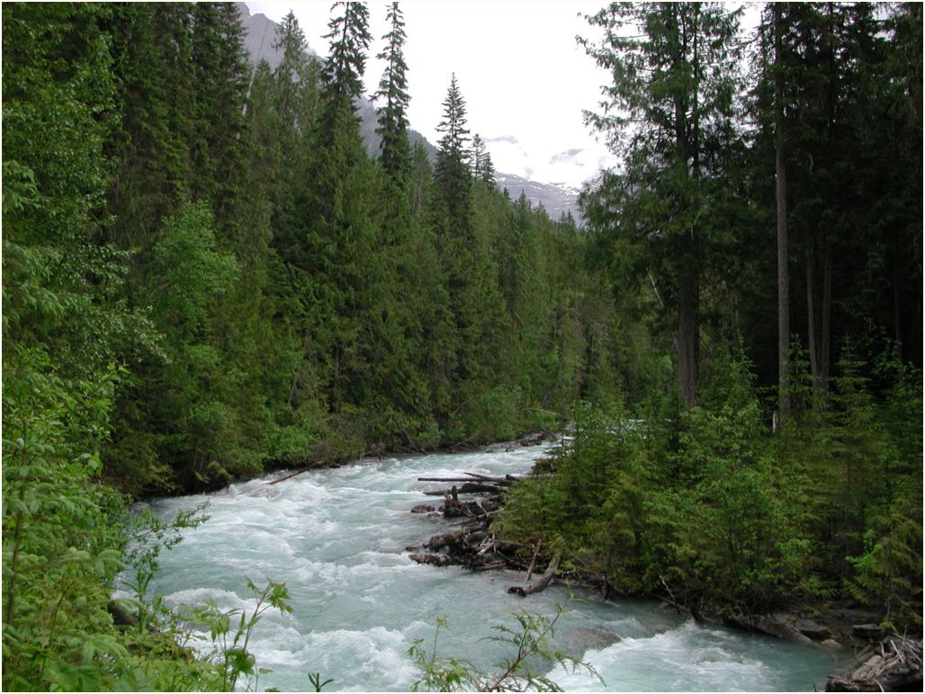 fraser-river