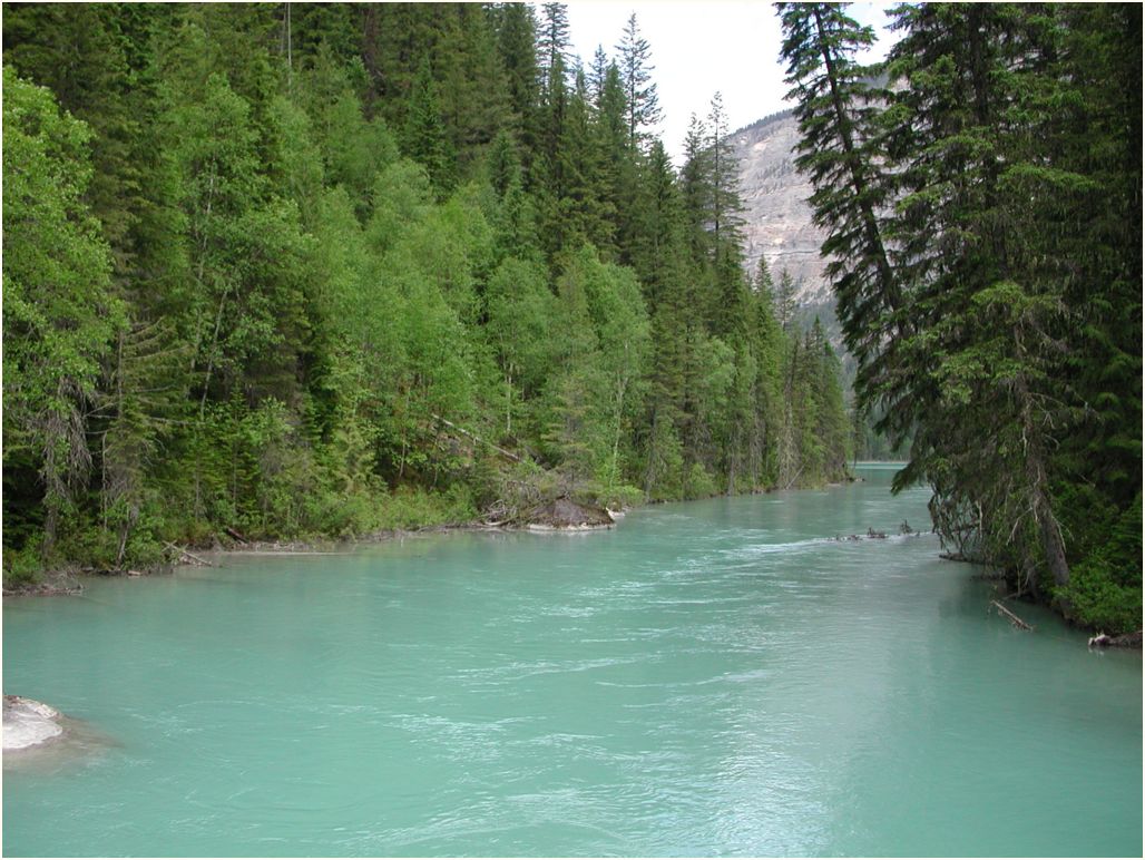 fraser-river