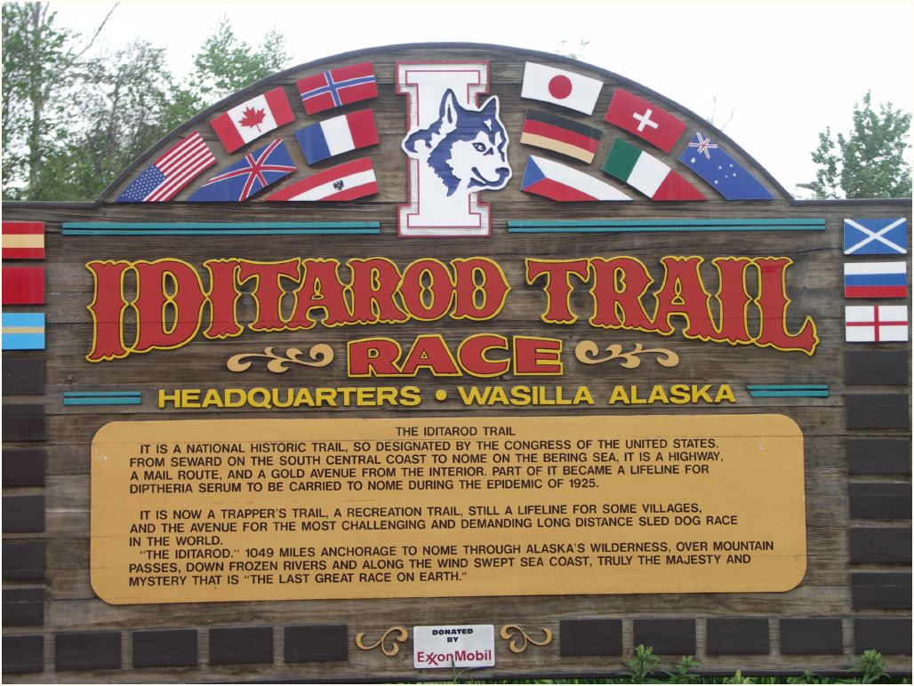 iditarod