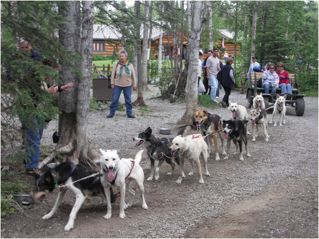 iditarod
