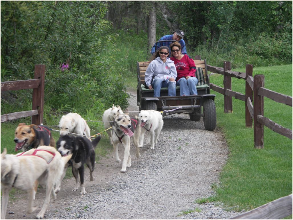 iditarod