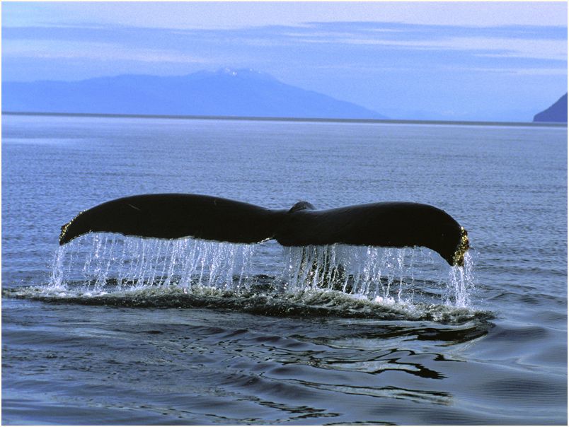 inside passage