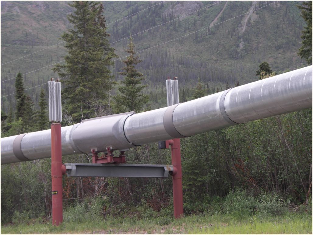 pipeline nr.12