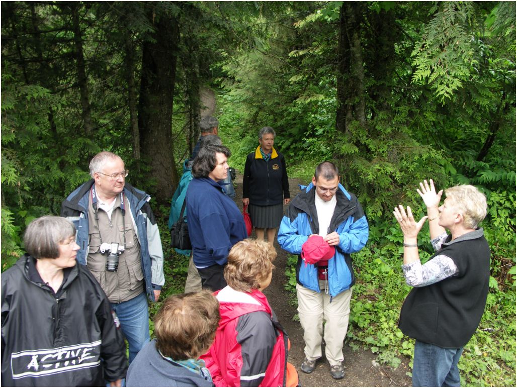 revelstoke forest