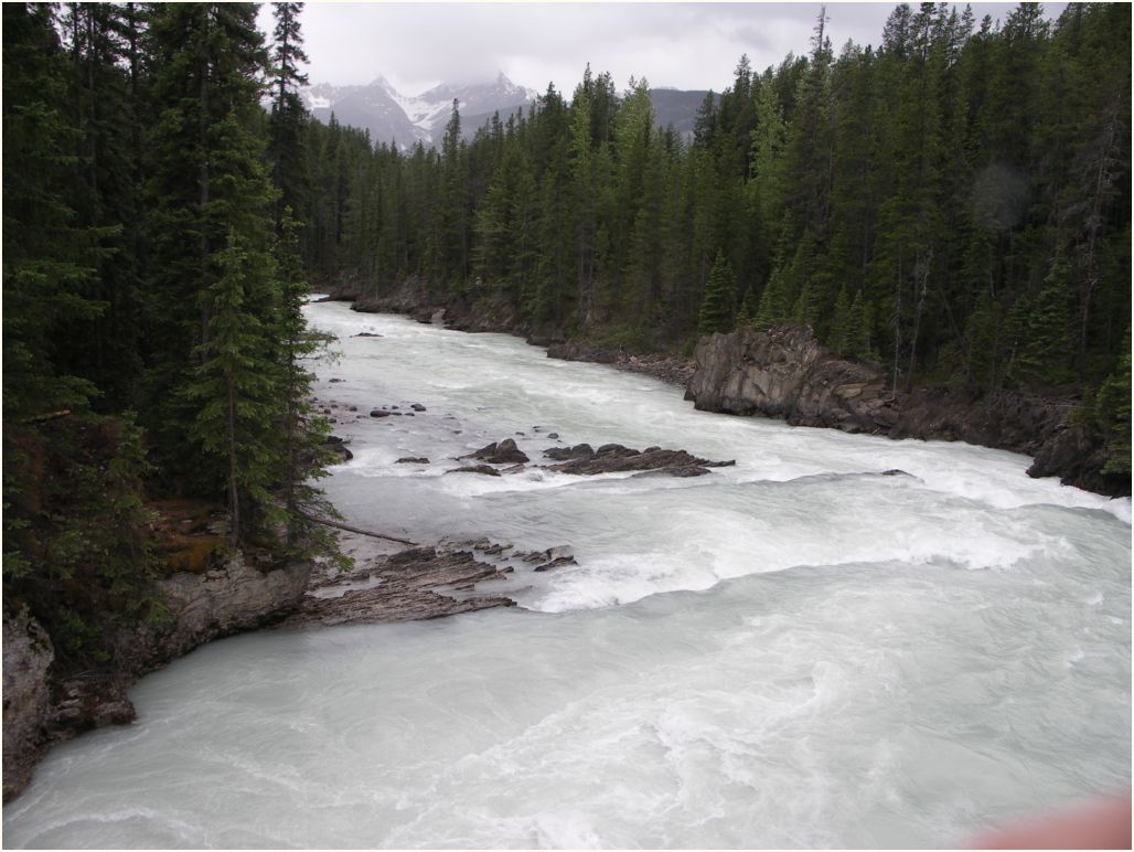 revelstoke nat. park