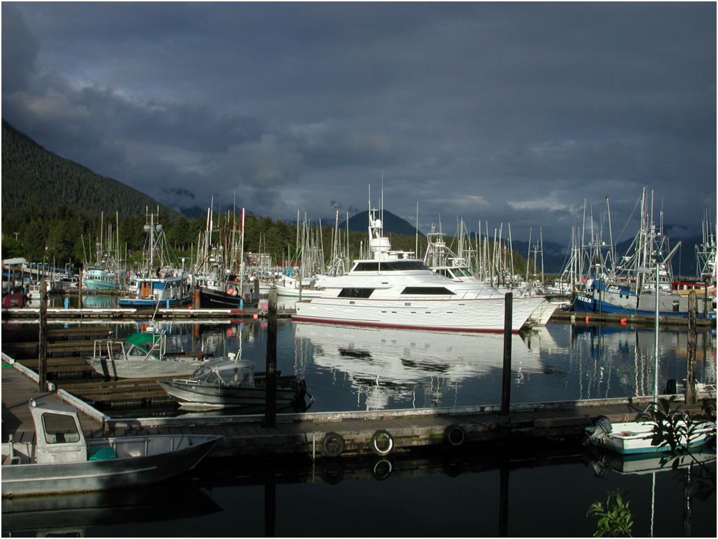 sitka