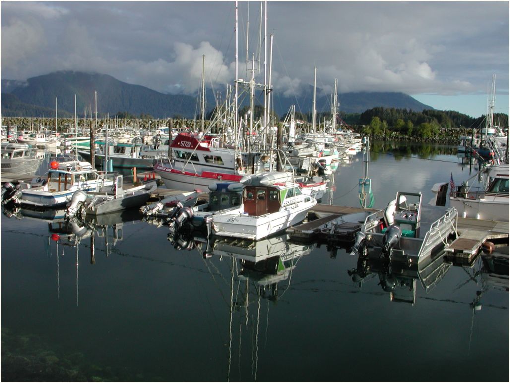 sitka