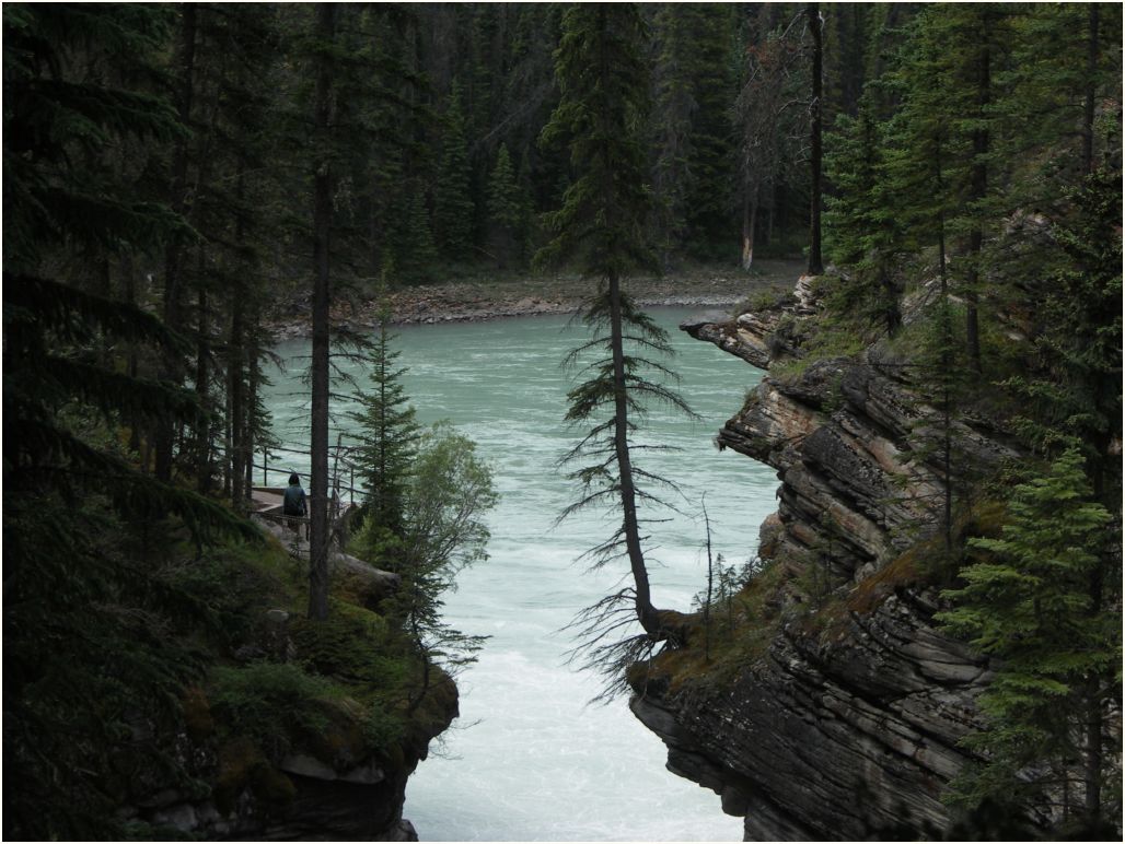 sunwapta-falls