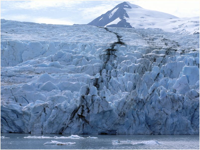 valdez0001