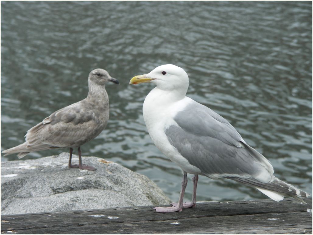 vancouver port