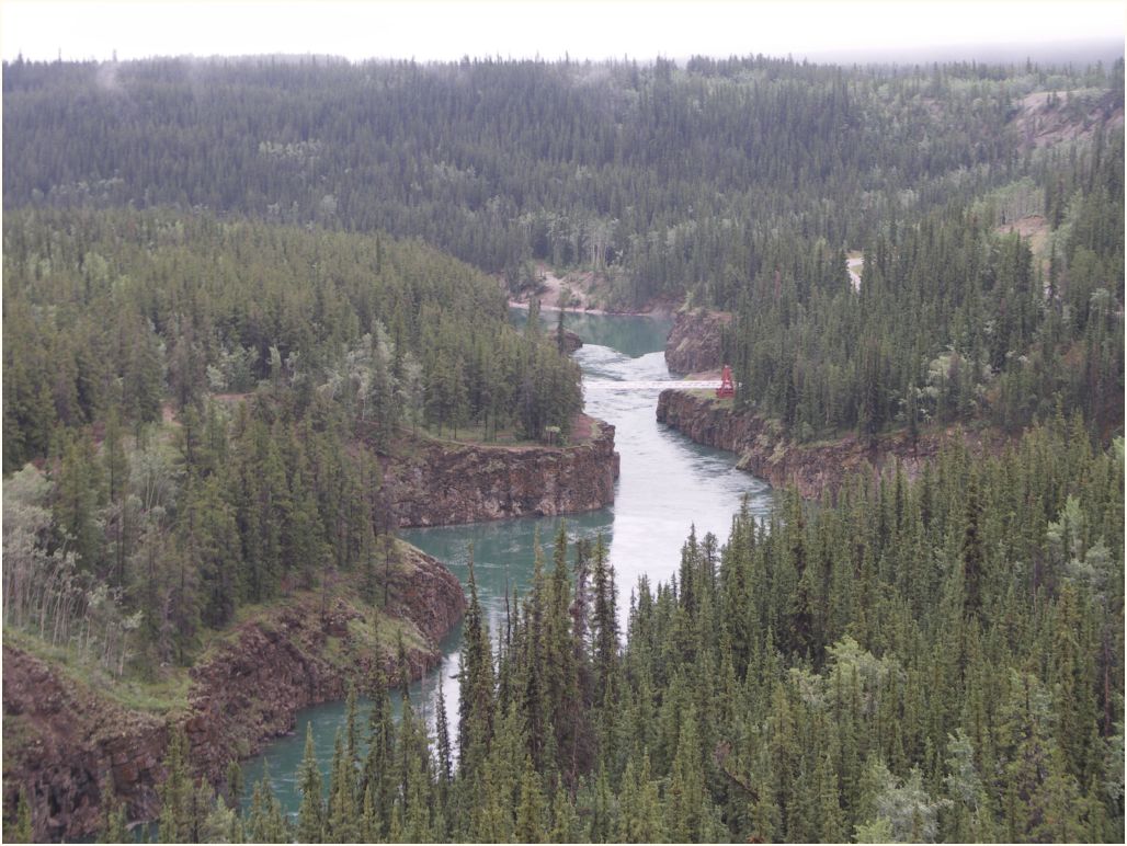 whitehorse