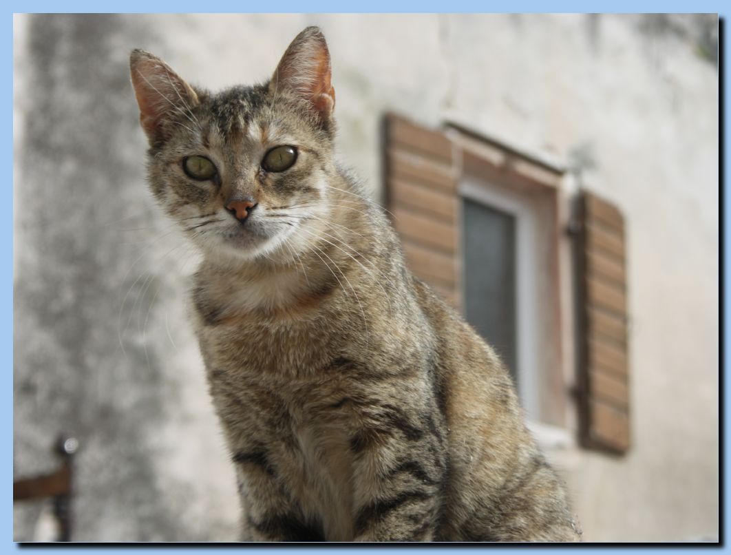 <b>Sibenik</b>