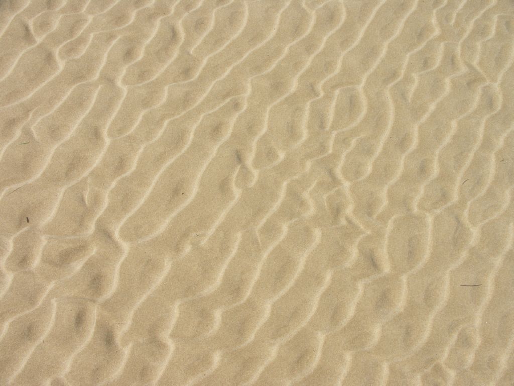 brenton on sea