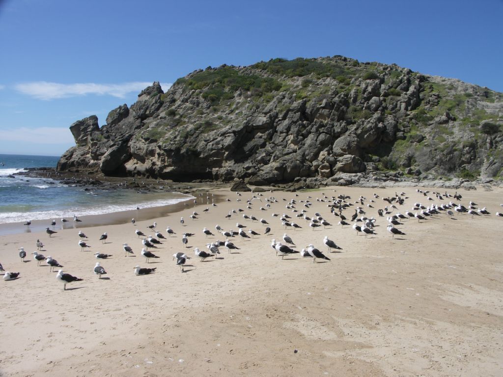 Robberg